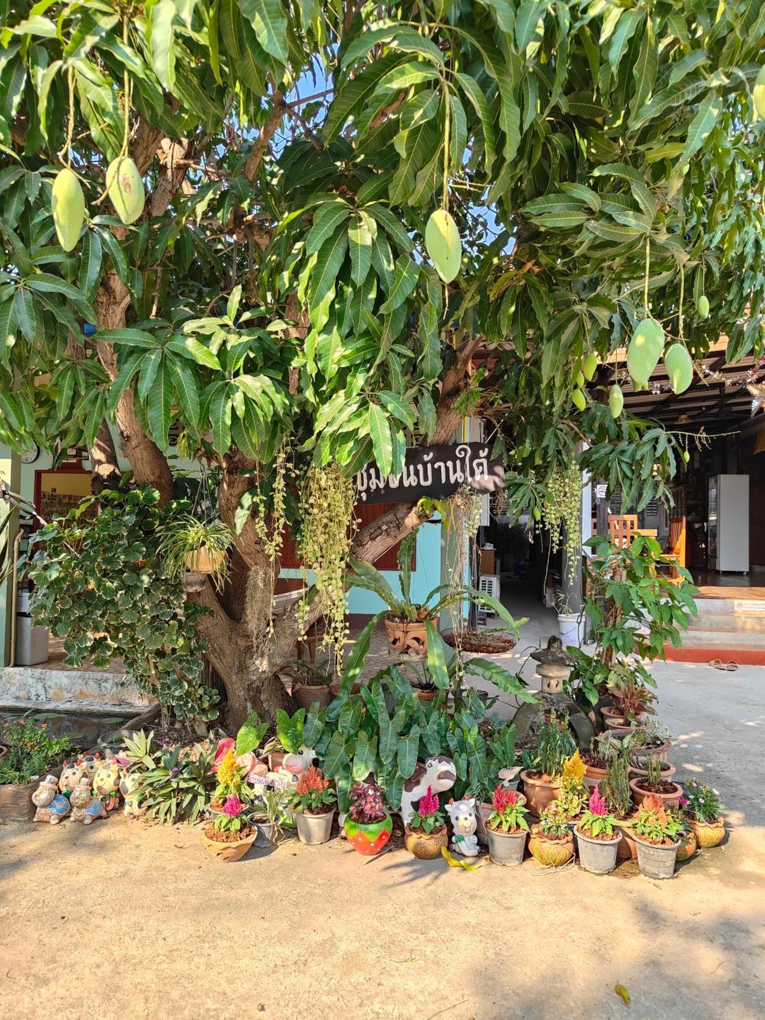 Smilingface Guesthouse Сукотаи Экстерьер фото